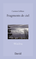 Fragments de ciel